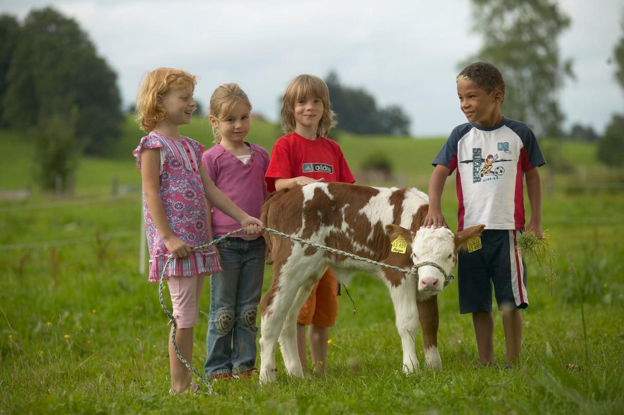 Ferienhof Off Lägenhet Sindelsdorf Exteriör bild